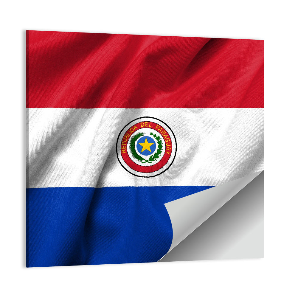 Paraguay Flag with Emblem Wall Art