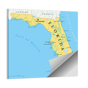 Florida Political Map Wall Art