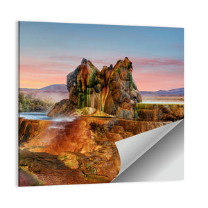 Fly Gyser In Nevada Wall Art