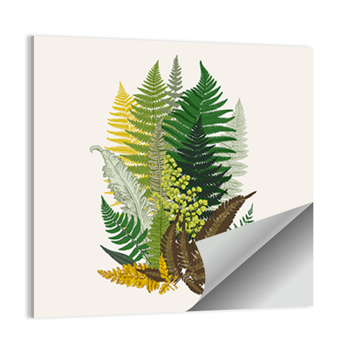 Fern Composition Wall Art as a poster print