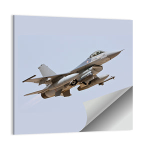 Lockheed Martin F-16 Portugal Wall Art