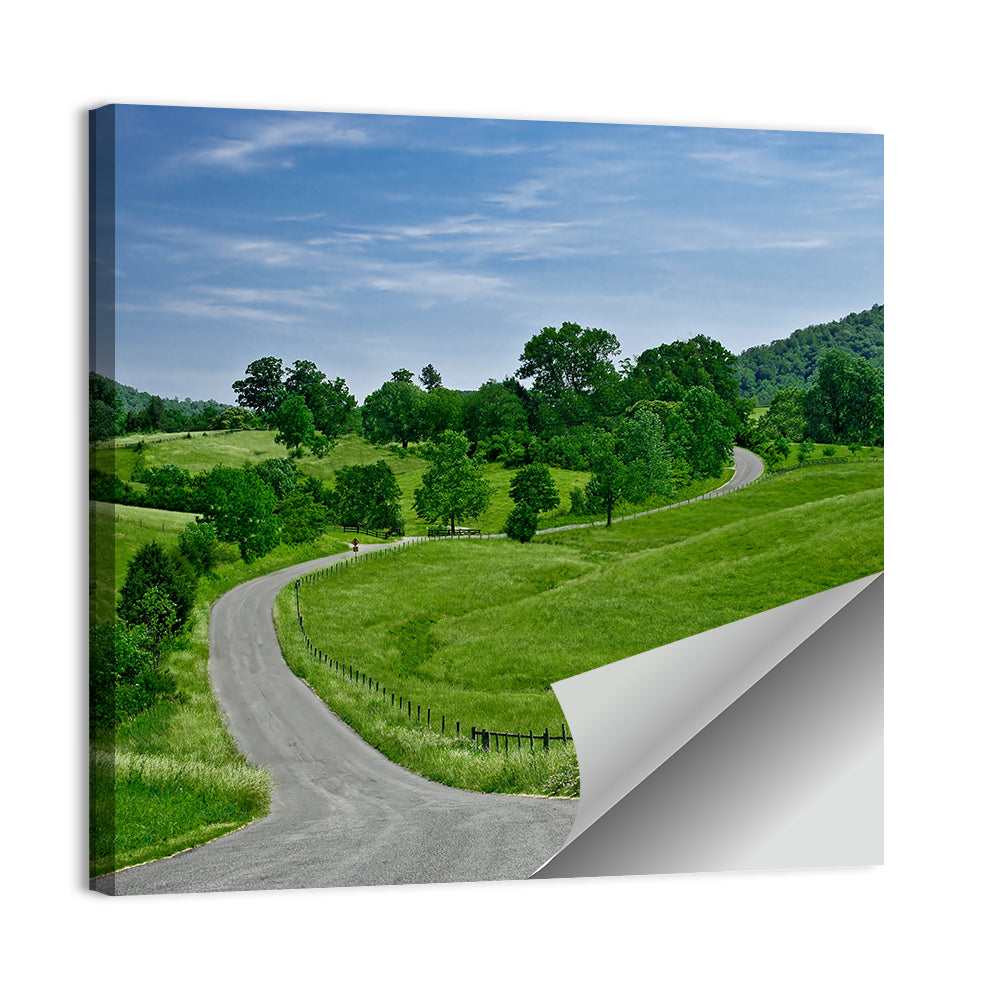 Blue Ridge Winding Road, Western Virginia Wall Art