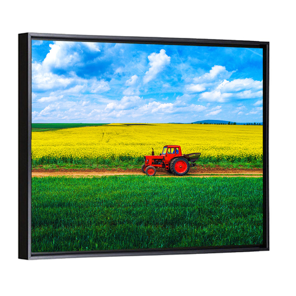 Red Tractor Over Yellow Rapeseed Field Wall Art