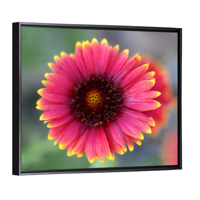 Pink Blossom Close-up Wall Art as a framed canvas