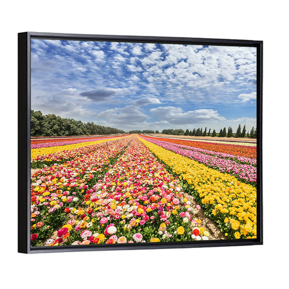Spring Buttercup Field Wall Art