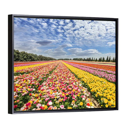 Spring Buttercup Field Wall Art