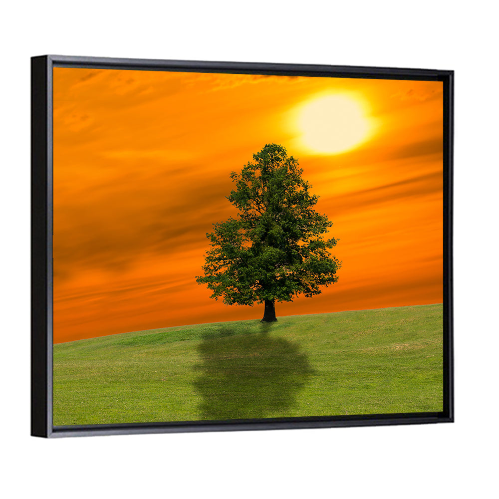 Lonely Tree on Green Hill at Sunset Wall Art