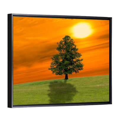 Lonely Tree on Green Hill at Sunset Wall Art