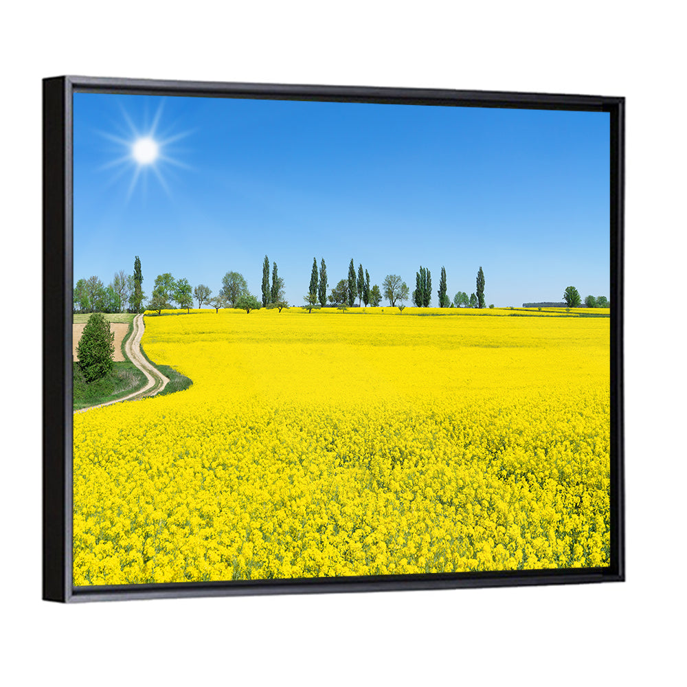 Winding Path Through Rapeseed Field Wall Art