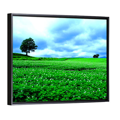 Biei Hill with Lone Tree, Hokkaido Wall Art