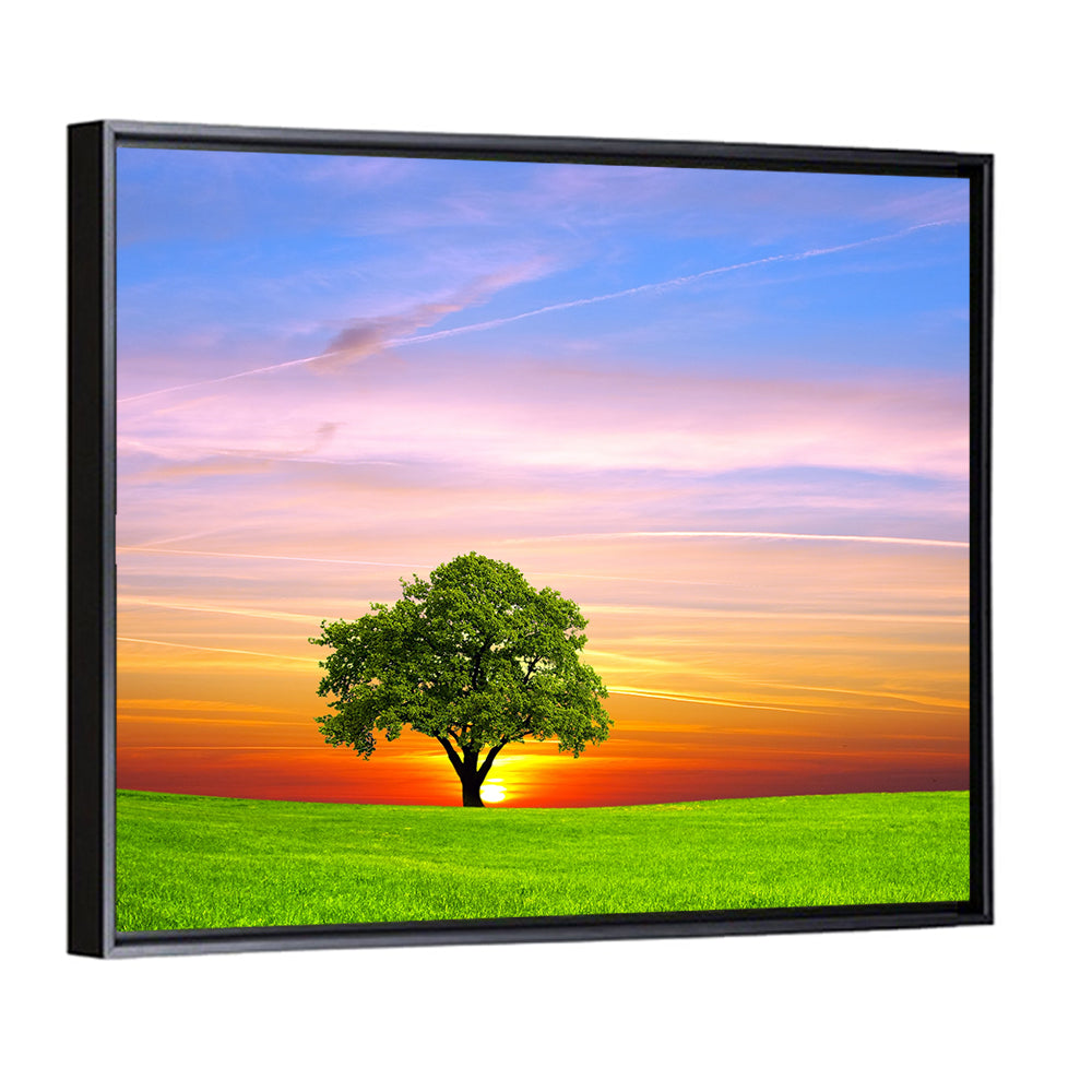 Lone Tree at Sunset Wall Art