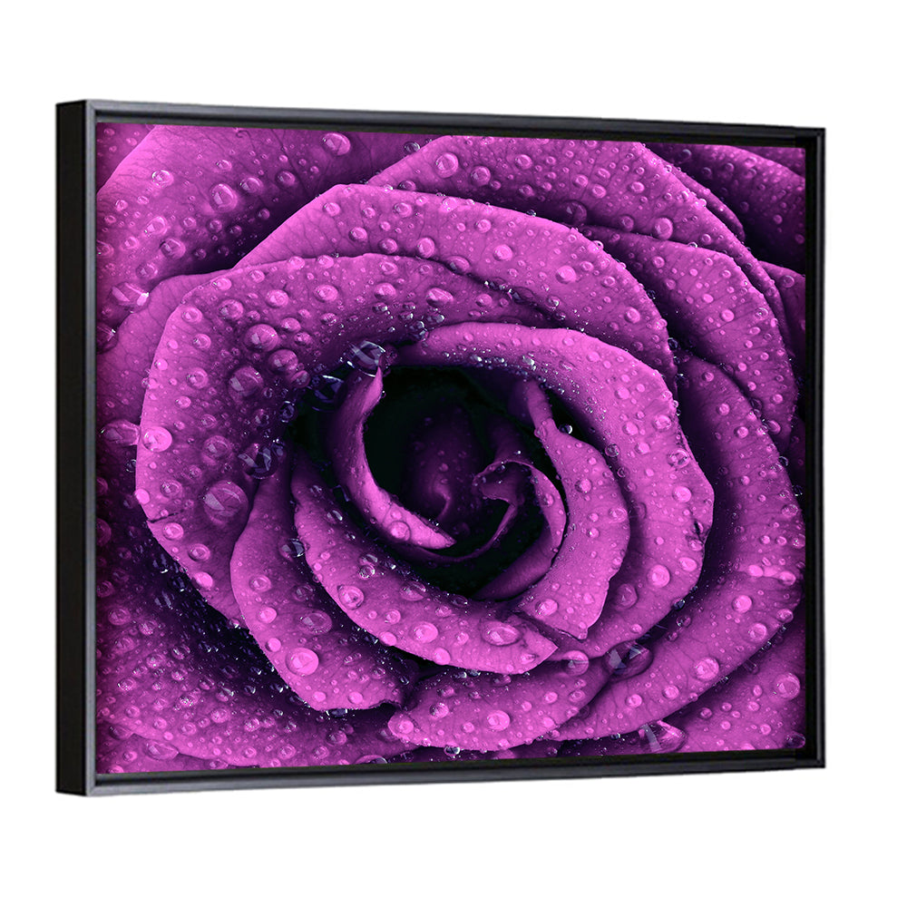 Rain Touched Purple Rose Wall Art