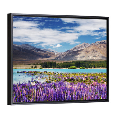 Lupines at Lake Tekapo Wall Art