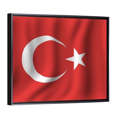 Turkish National Flag Wall Art