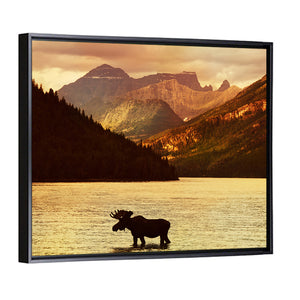 Moose In Waterton Lakes National Park Wall Art