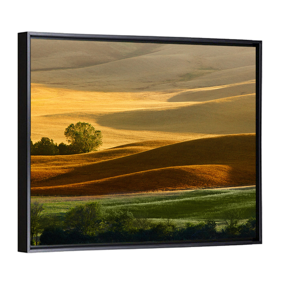 Golden Hills of Tuscany Wall Art