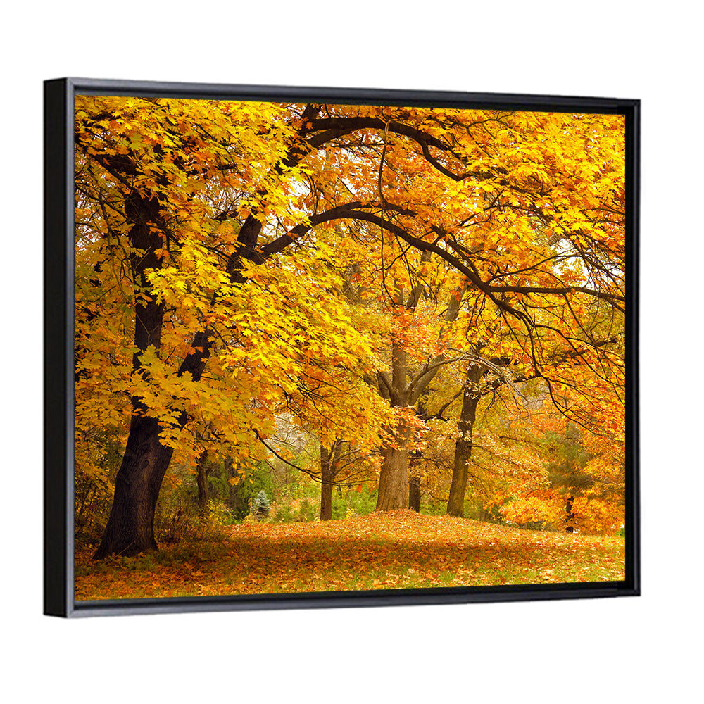 Golden Canopy in Autumn Park Wall Art