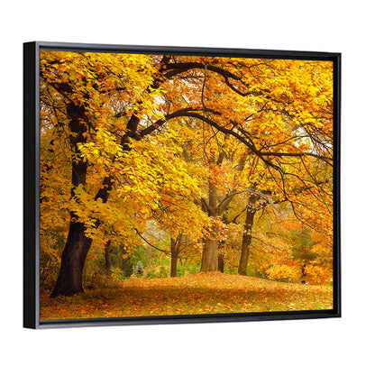 Golden Canopy in Autumn Park Wall Art