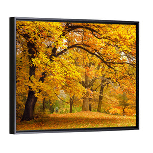 Autumn Gold Trees In Park Wall Art