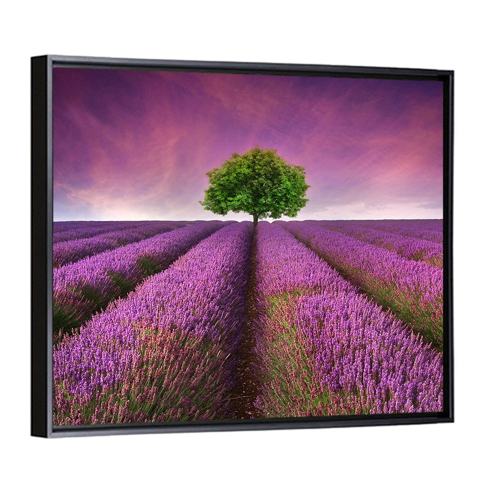 Lavender Field at Sunset Wall Art