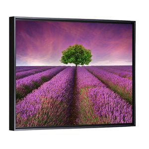 Summer Lavender Field Wall Art