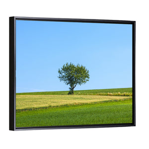 Lonely Tree At Meadow Wall Art