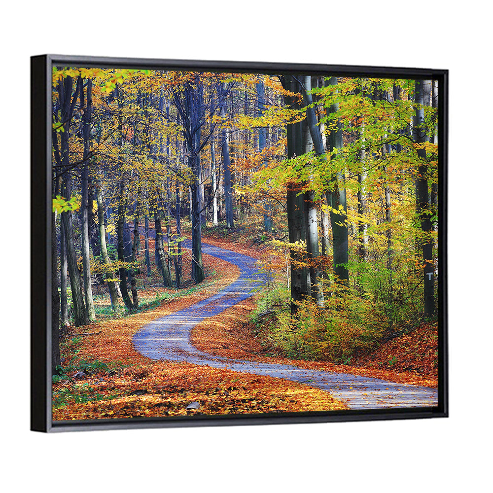 Winding Autumn Forest Path Wall Art