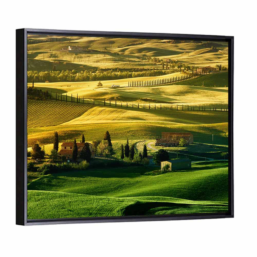 Tuscany Fields at Golden Hour Wall Art