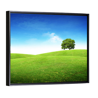 Lone Tree on Rolling Green Hill Wall Art
