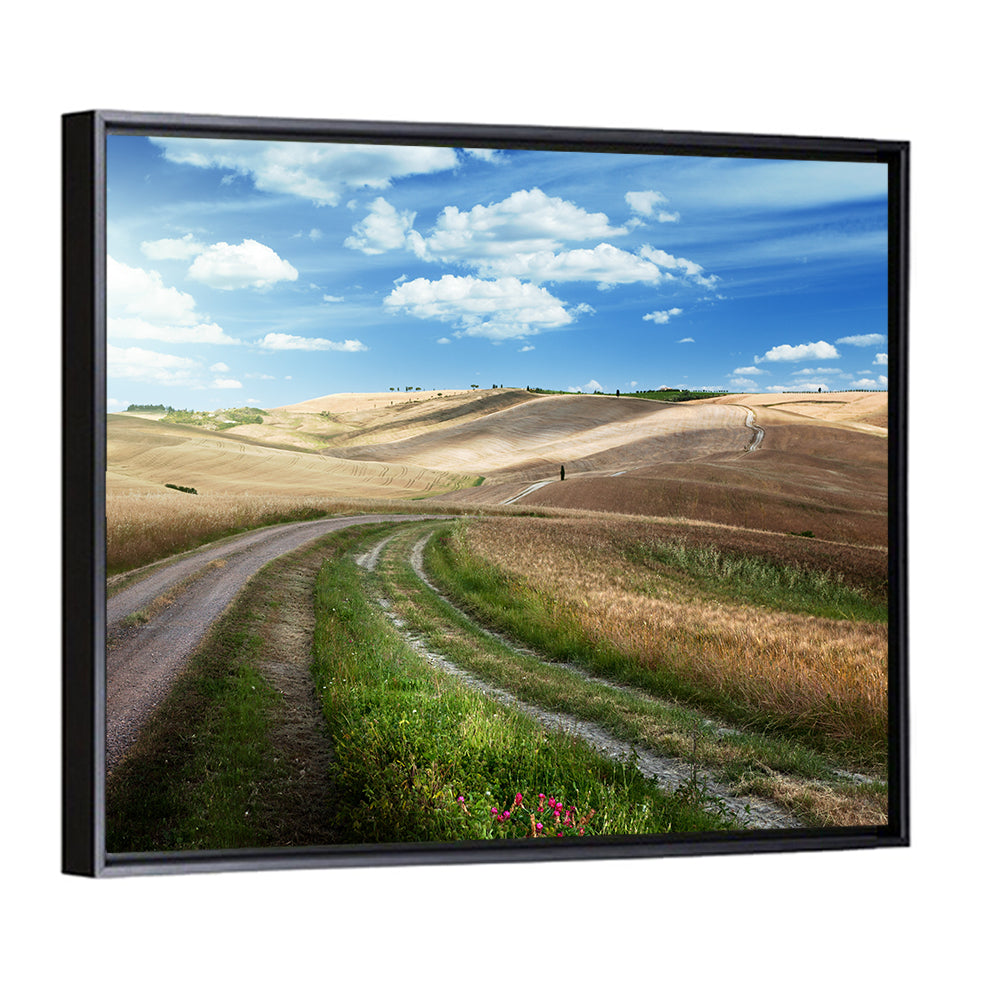 Dirt Road Through Tuscany Wall Art