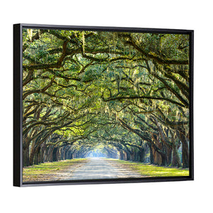 Savannah Oak Tree Pathway Wall Art