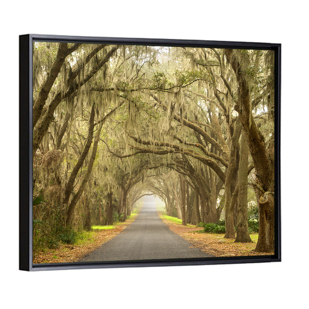 Spanish Moss Country Road Wall Art