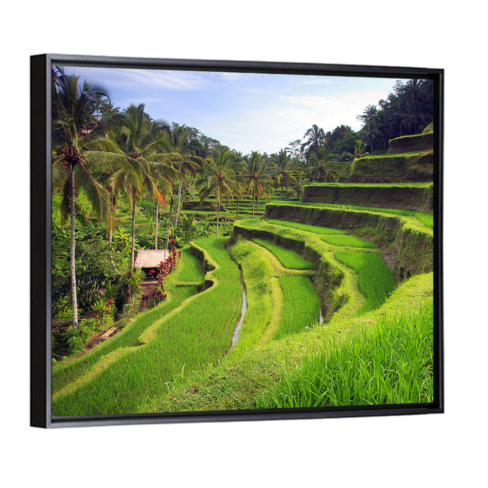 Tegallalang Rice Terraces Wall Art