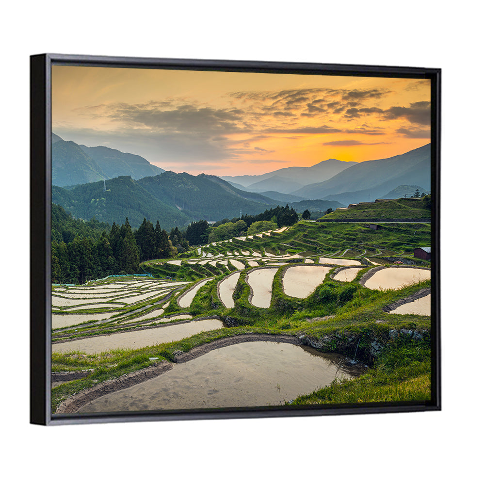 Sunset Over Japanese Rice Terraces Wall Art