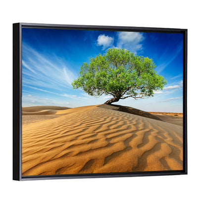 Solitary Green Tree on Sand Dune Wall Art