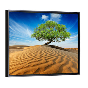 Lonely Green Tree In Desert Dunes Wall Art