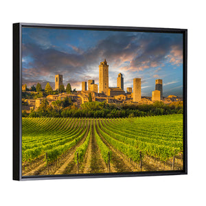 Vineyards Of San Gimignano Tuscany Wall Art