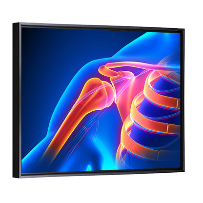 Shoulder Pain Anatomy Study Wall Art
