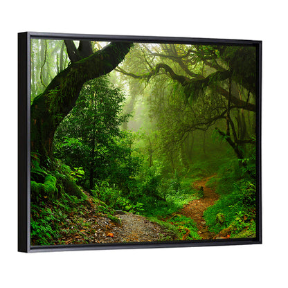 Misty Forest Trail in Nepal Wall Art