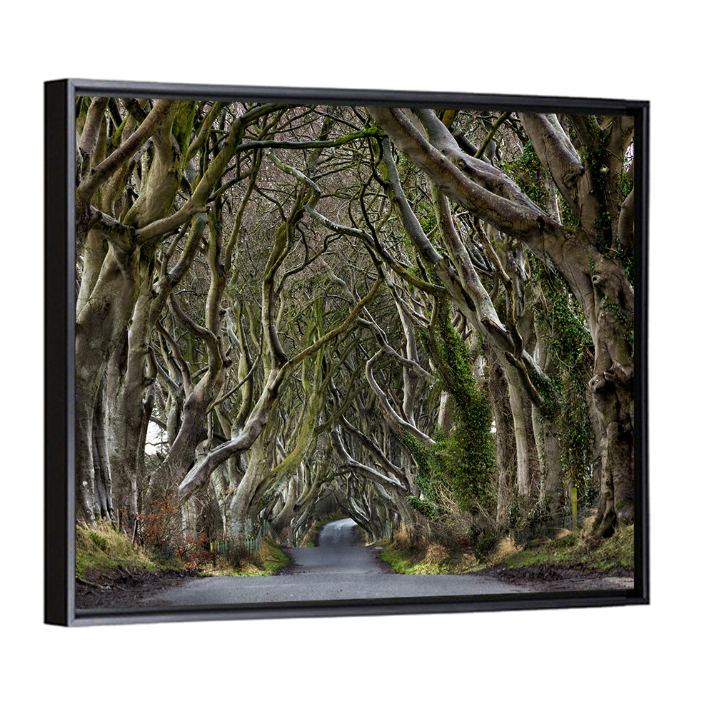 Dark Hedges Tree Tunnel Wall Art