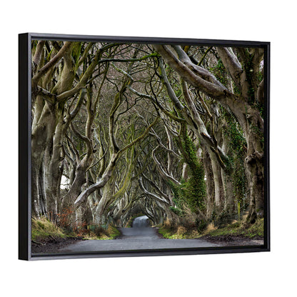 Dark Hedges Tree Tunnel Wall Art