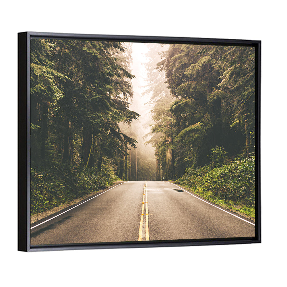 Redwood Highway, Northern California Wall Art