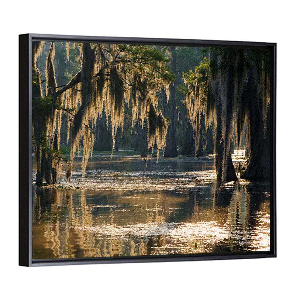 Spanish Moss in Louisiana Bayou Wall Art