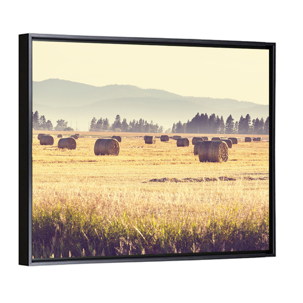 Golden Hay Bales Field Wall Art