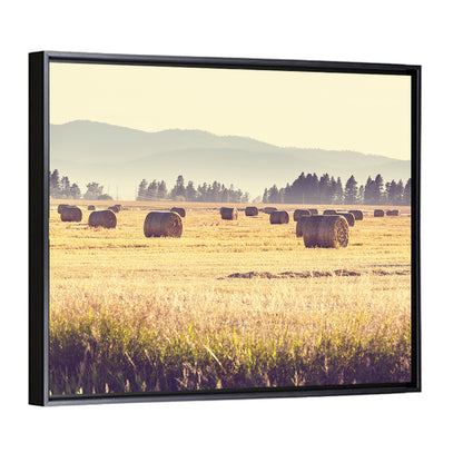 Golden Hay Bales Field Wall Art