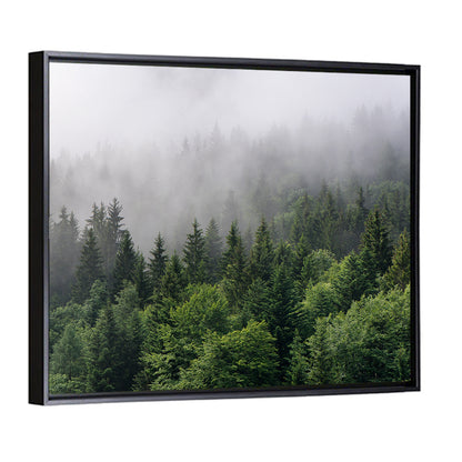 Misty Evergreen Forest Overview Wall Art