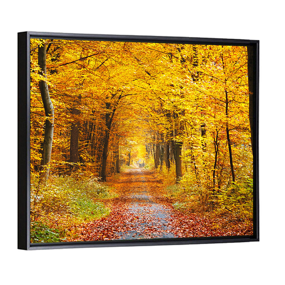 Autumn Forest Path Wall Art