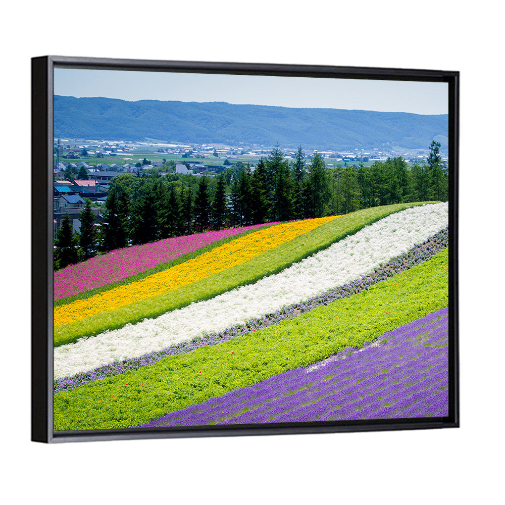 Farm Tomita Lavender Fields Wall Art