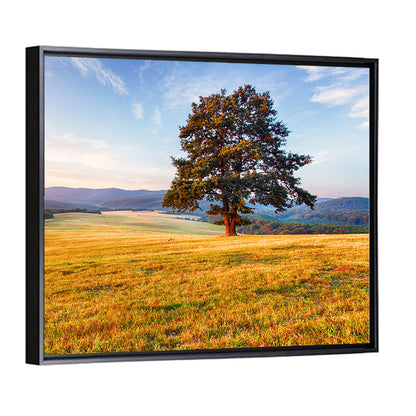 Golden Hour Meadow with Lone Tree Wall Art