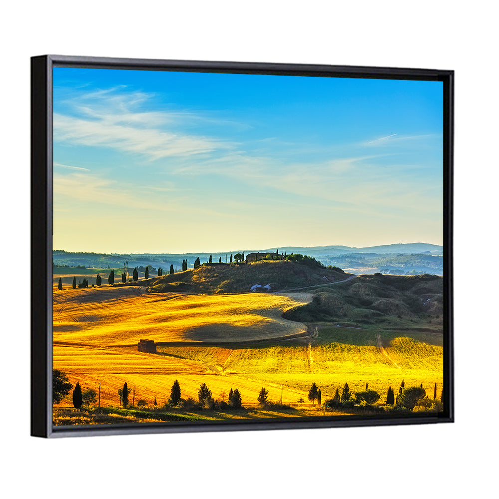 Cypress Trees Over Golden Fields Wall Art